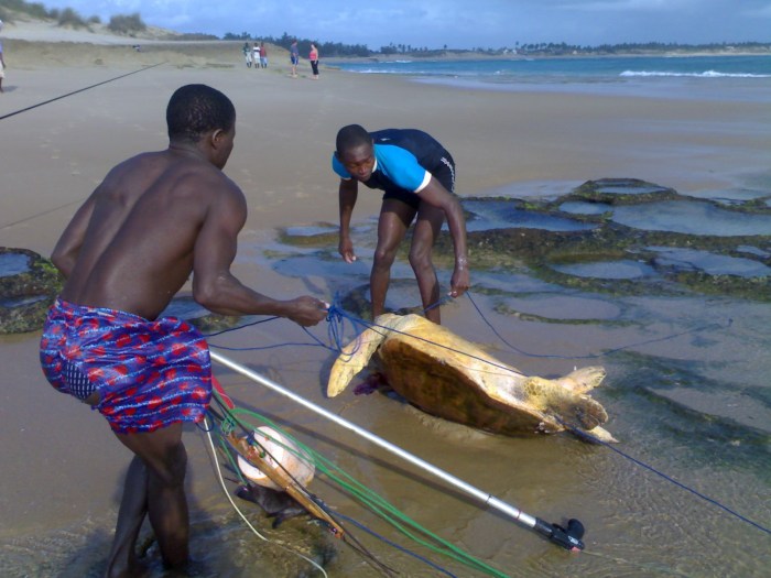 Spear fishers poaching