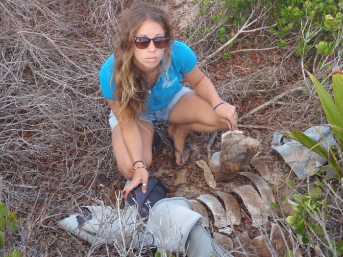 Jess with loggerhead bones