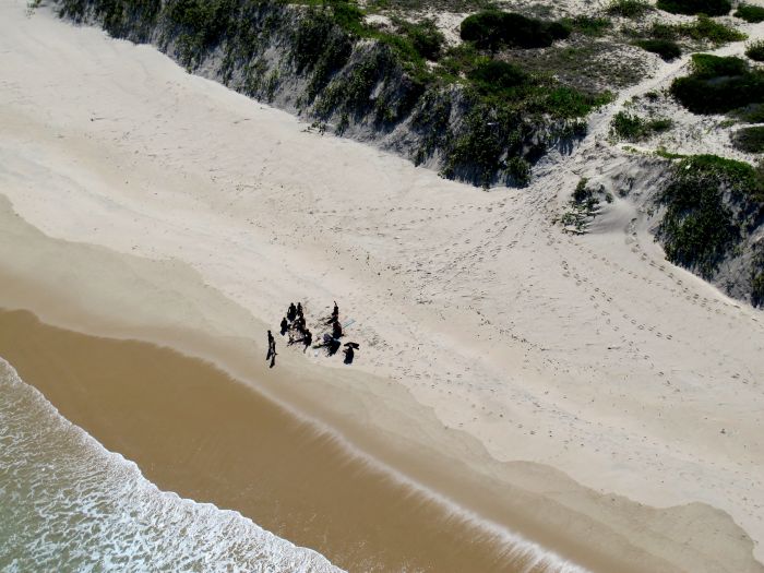 Heavy fishing/poaching access points- noted from the footprint traffic on this isolated section of beach.