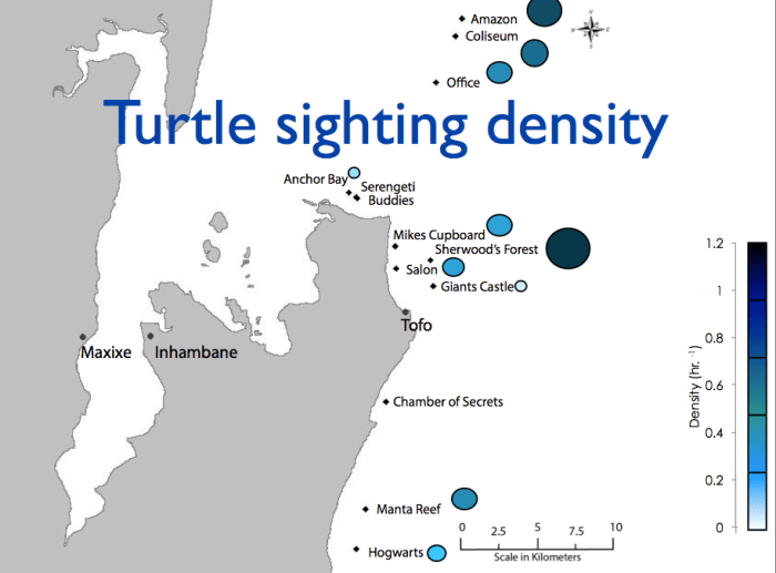 turtle density map