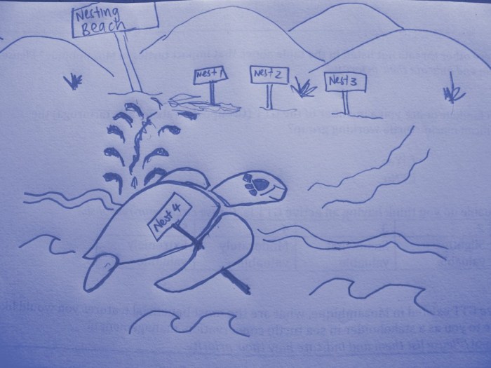 nesting turtle- consistent