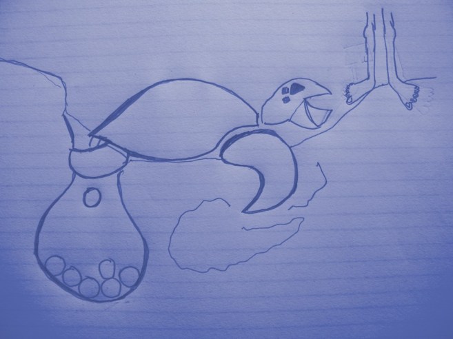 nesting turtle- fiesty