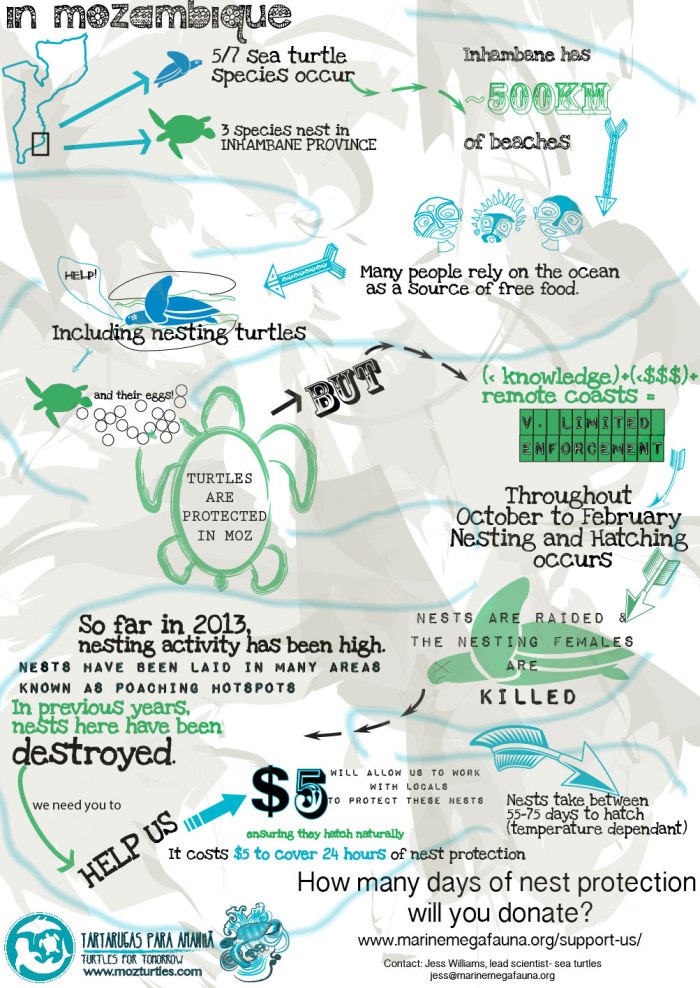 Turtle nests in MZ infogram