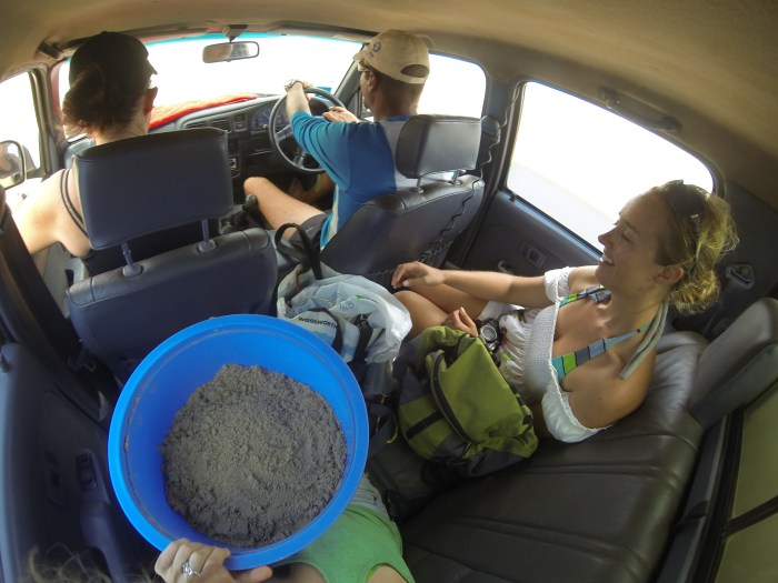 Team translocation in transit- Adri, Donald and Katie.