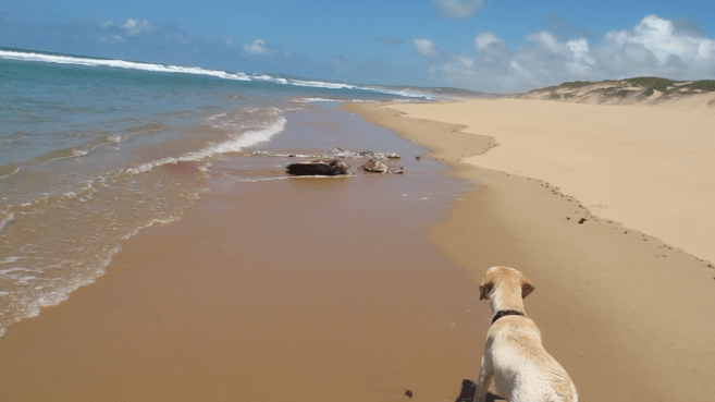 vlcsnap-2014-02-14-15h29m27s249