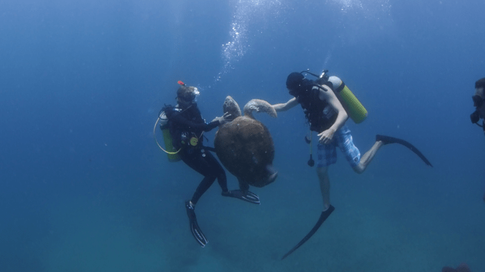 vlcsnap-2015-11-26-09h48m07s230