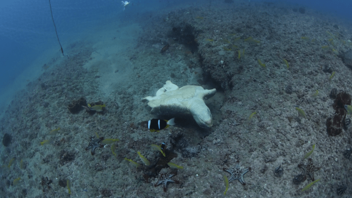 vlcsnap-2015-11-26-09h50m17s2