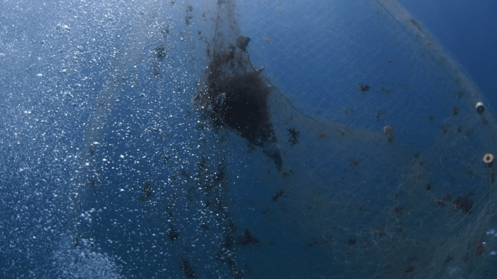 vlcsnap-2015-11-26-09h50m55s126