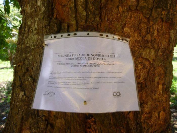 12291797_10153334052488121_3165121744580568581_o